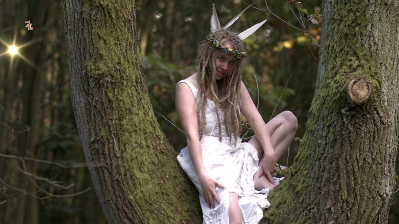 Inquisition and prison world: Fierce Fairy - eine süße waldfee wird als hexe zum verhör...