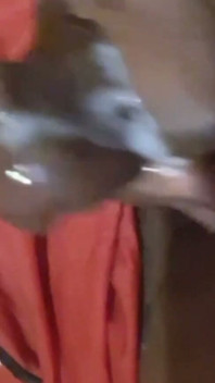 Jack Said Cum