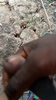 Chico Africano Masturbándose Dentro Del Arbusto