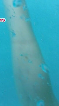 Divertimento bagnato selvaggio al sole video completo