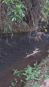 Degli sconosciuti vengono beccati a fare sesso alla cascata.