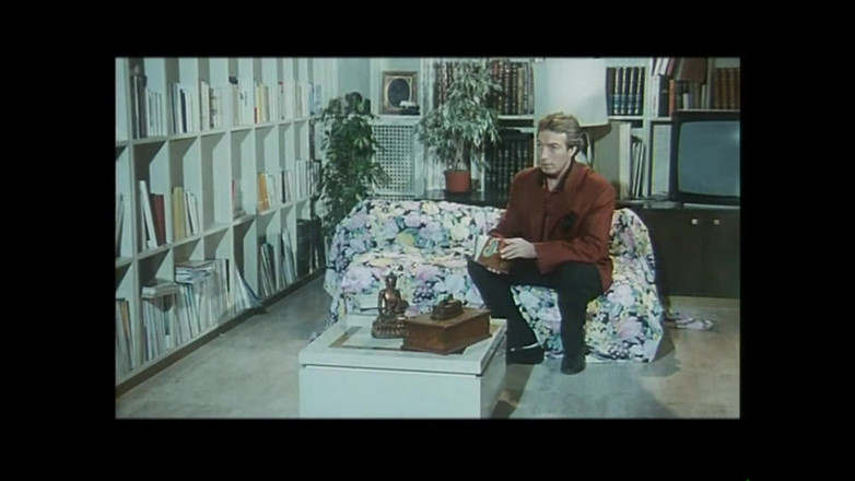 FM Video VOD: Cicciolina和rocco Siffredi在：50岁的快乐