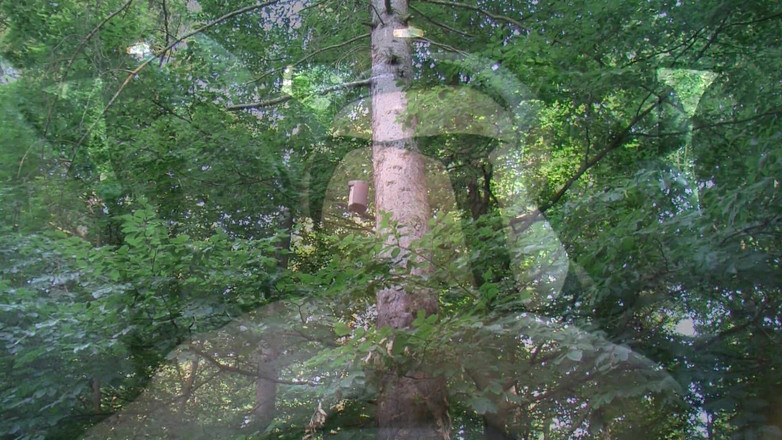 Erotic Club: 택시 로즈버드 Prolapse 애타게 - 젖은 후장 터지는 벌리기