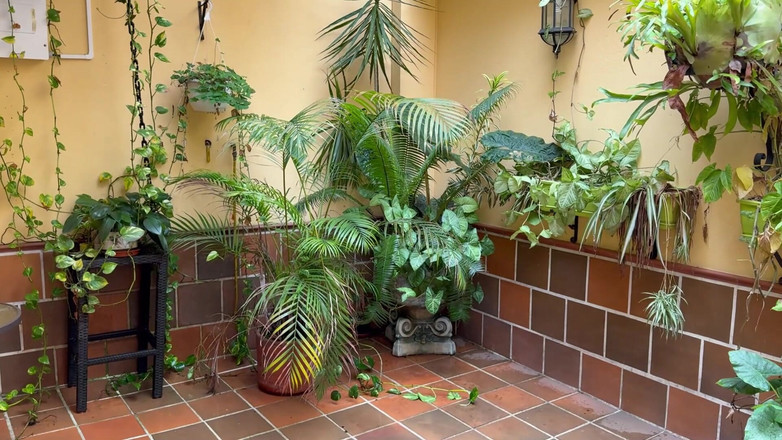 Pipe Boy: Sora vitregă cu țâțe mari pierde cărți de joc și fute pula...