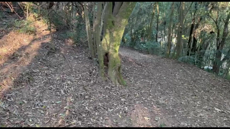 Lidi Ferrari: La ragazza birichina mi ha portato a fare una passeggiata...