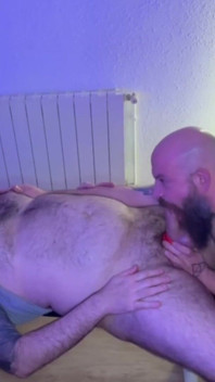 Gim4bears btrucker