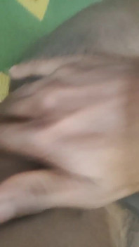Assam Desi Gay Sex Videos