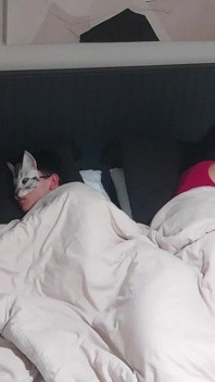 Verdammte stiefmutter, solo-fans in zeitlupe, gewagter stiefsohn im bett