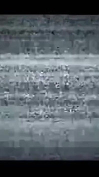 Sejarah Moranguinho 3