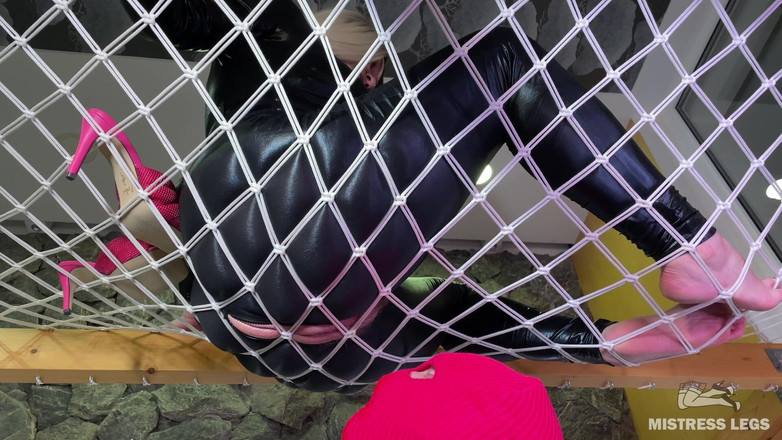 Mistress Legs: Hängegöttin verehren teil 2 - Sklavenzunge gleitet sanft auf meine entpackte muschi...