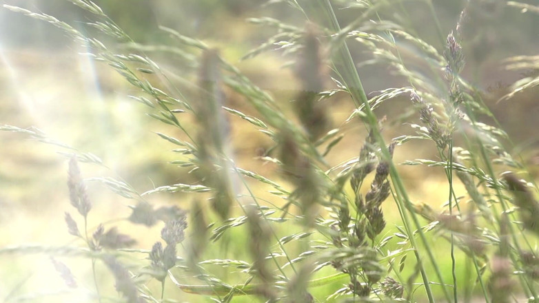 Piss Lover: Mandy Mystery 肮脏的小便女王被巨大的溪流淹没