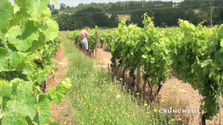 EXHIB BOYS: Exhib riskant op wineyard door Nick en Guillauem Wayne