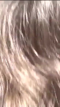 Real Amateur with Sandra an Italian Mature Slut with Brunette Hair Gets Her Pussy Fucked and Wants Her Mouth Busy