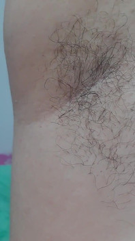 Hairy Armpit Show