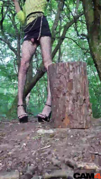 The Cigarette Break of a Transvestite School Teacher, in a Park. Cam⁴ Vanessabitchx Parischiennetrvprod⁹¹