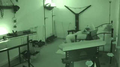 Anna Devot: 노예의 직업