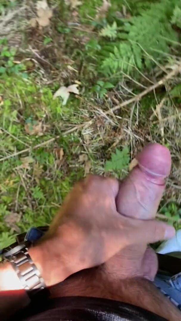 Zaharia: Forest wanki 2