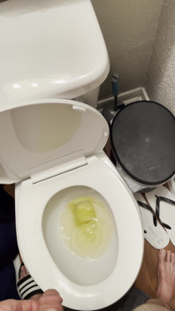 Sometimes I Film Myself Peeing
