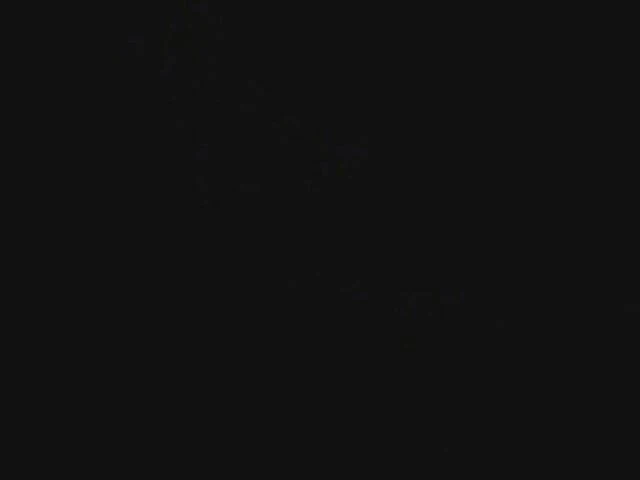 Wet Moments: Camiseta Molhada Miss