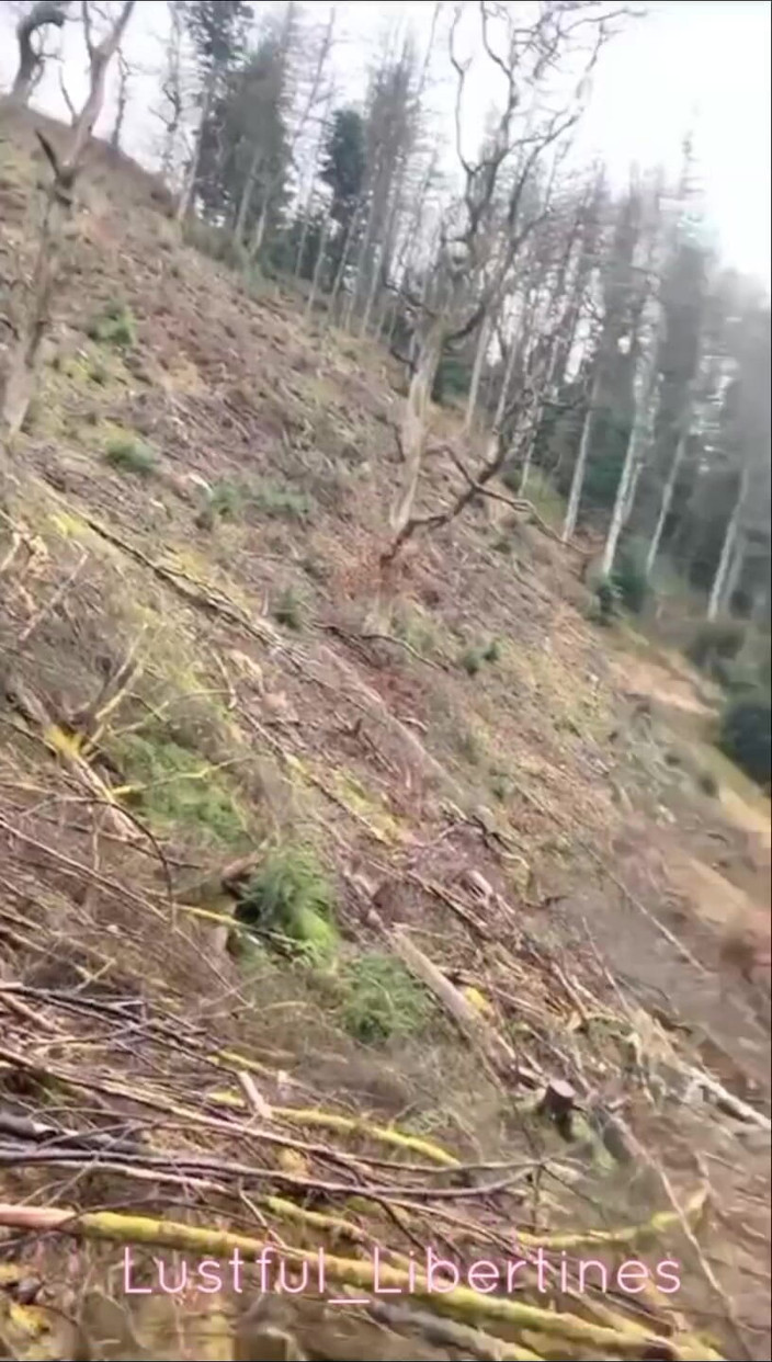 Lustful Libertines: Cuma pengen banget ngentot di hutan &amp; nyepong kontol
