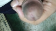 Sumon: Honění ptáka