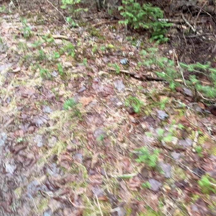 sweethanajapanese: Pussy Pissing Water on the Rock