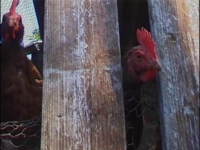 MMV Films and Clips XXX: Wild Sex in the Countryside - Episode 1