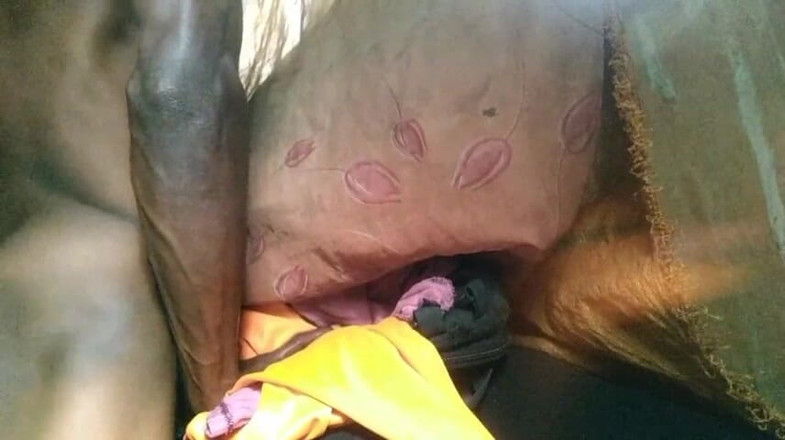Bangcum8: Boy Fuck Free Pussy and Cum Very Good