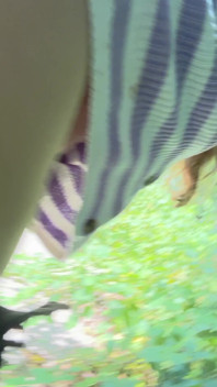 Sex in the Woods