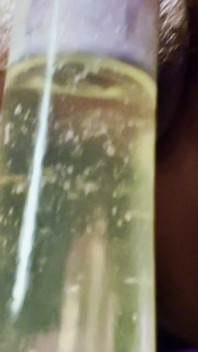 Ms300 Sarazia Exotic - Golden Goddess Nectar