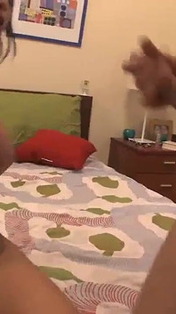 Grosses bites bien dures pour des bombasses latinas salopes n° 3 - film complet