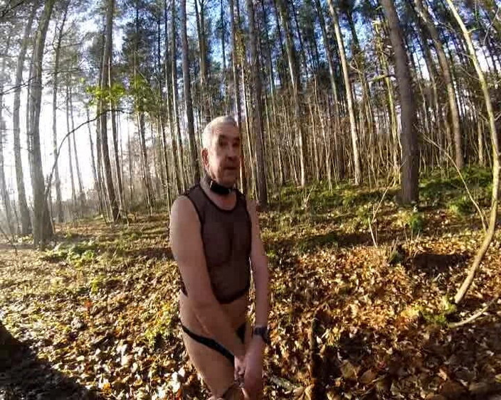 Andy: Холодный день в лесу
