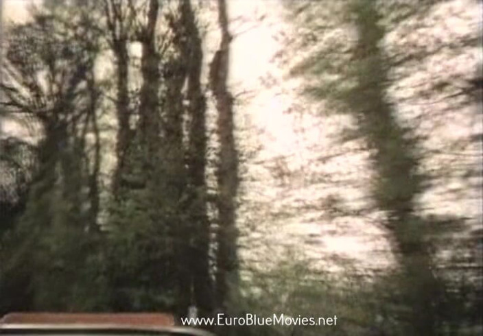 Euro Blue Movies: Erotic Threesome (1975)