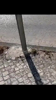Moranguinho jalan kaki di jalan - bagian 1