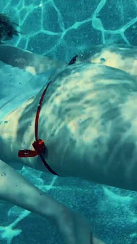 Join Me in the Pool, on My Mv Crush