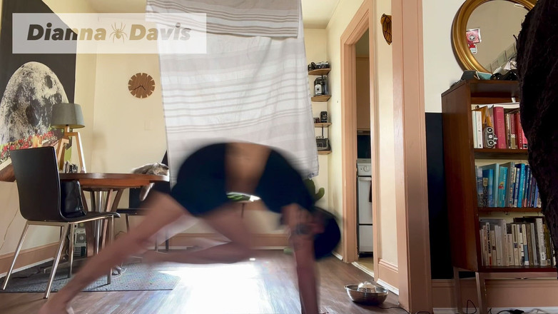 Dianna Davis: Швидка йога