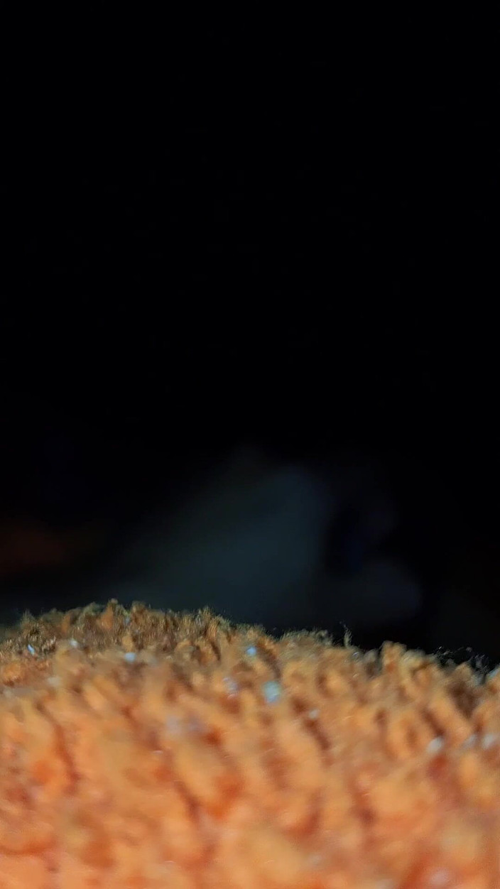 Natal_Boy: Мене ледь не спіймала моя зведена сестра за мастурбацією