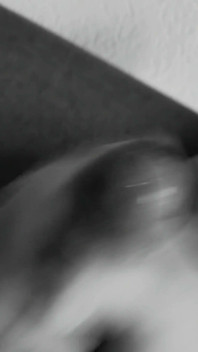 Neo Fap Noir