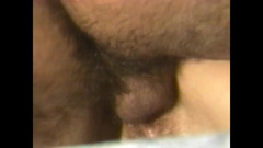 The Unforgettable: Bunny, o excitador voraz