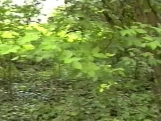 कोई अंतरंगता नहीं - पूरी फिल्म - इतालवी वीडियो एचडी में बहाल