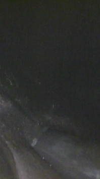 Große schwarze anal schlampe