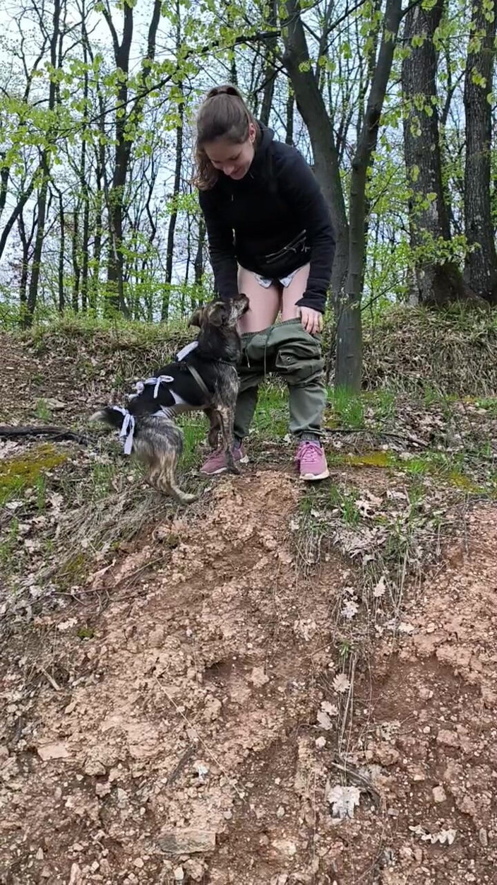 FenekManul: Pee on the Little Sidehill