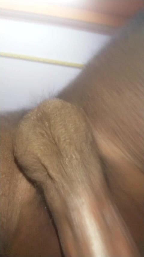 Rlworld99: Šukej mě, zlato