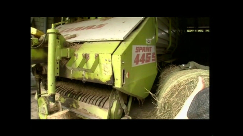 The hunters TV - (The best full movies xxx): Las Viejas Gozonas (filmy)