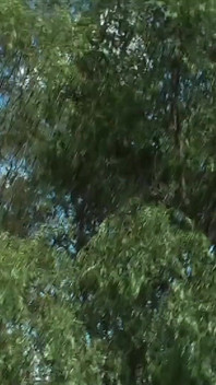 Blonďatý německý bazén