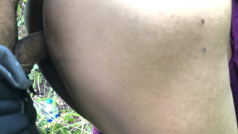 Lustybaby605: Nepalese Jungle Cat (jungleavonturen 2.0)