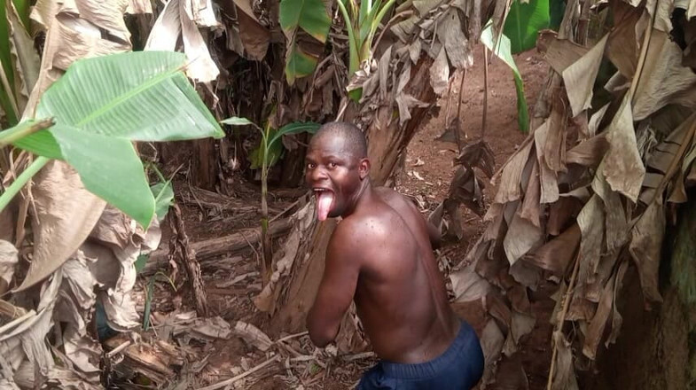 Moviesporn1: Die valentine haben leine, ein am meisten schwanz loch