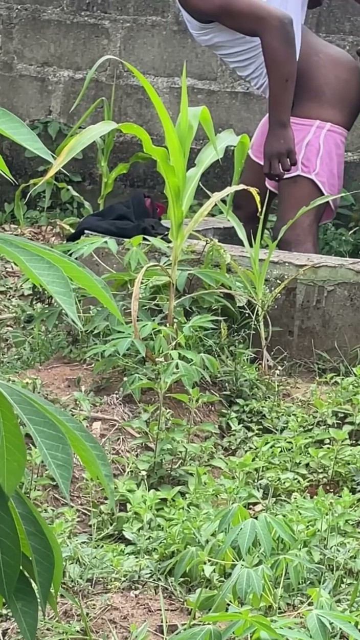 Vicfairy: Black Booty