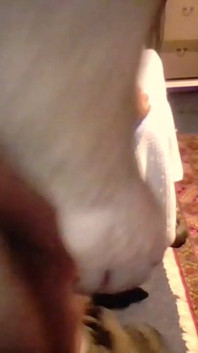 My Wet, Horny Anal Cunt Wants to Be Masturbated Again