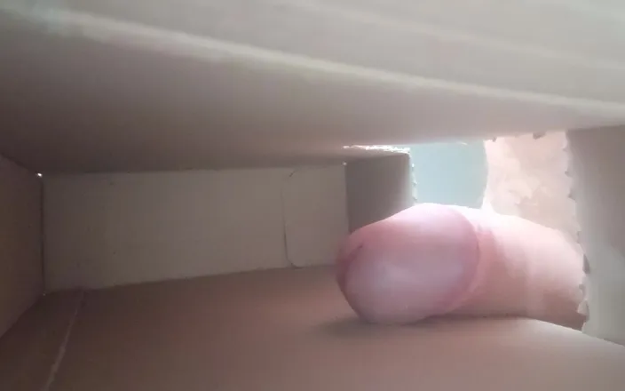 Ed Eden: Dick in Box